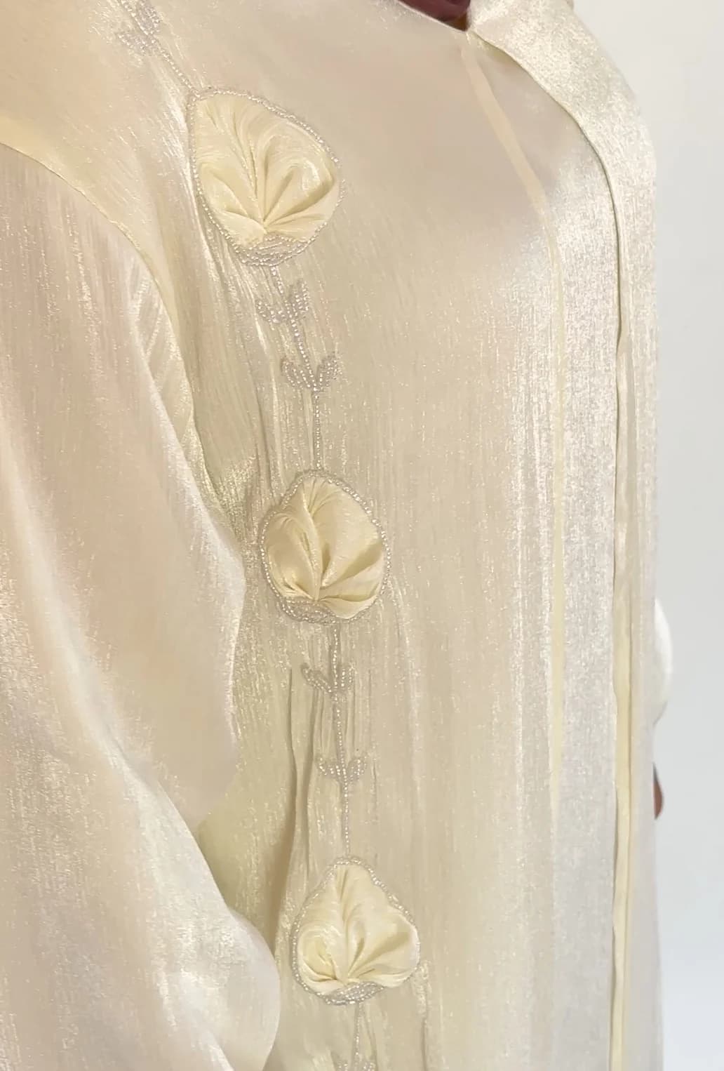 Shimmer Organza Dress - Image 2